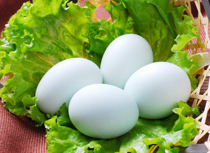 鹅蛋的功效与作用及食用方法